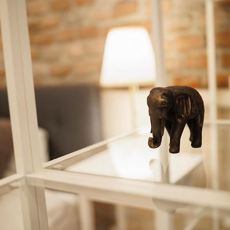Jolie Flat In The Heart Of The City تيميشورا المظهر الخارجي الصورة